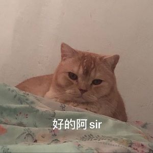 Meet your Posher, Wu